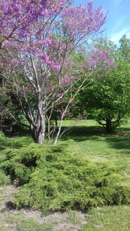 La Madeleine Bed & Breakfast Pezens Exterior photo